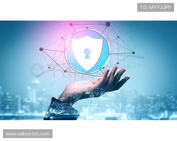 星空体育app网页登录入口安全性分析，保障用户账号信息的安全与隐私保护